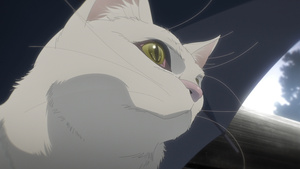 Omoi, Omoware, Furi, Furare